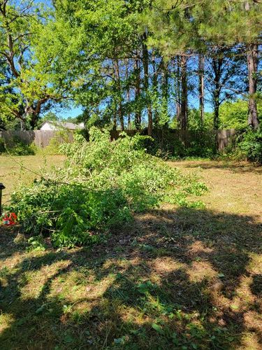 Brush Clearing for Wright's Land Management, LLC in Macon, GA