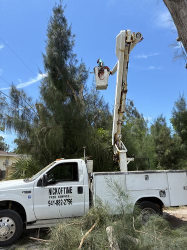  for Nick of Time Tree Service in North Port, FL