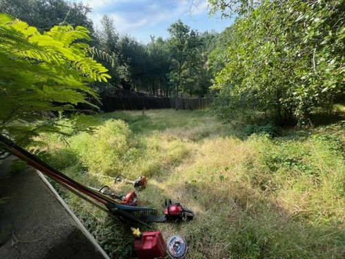 Lawn Maintenance for Zuta1 Services in Redding, CA