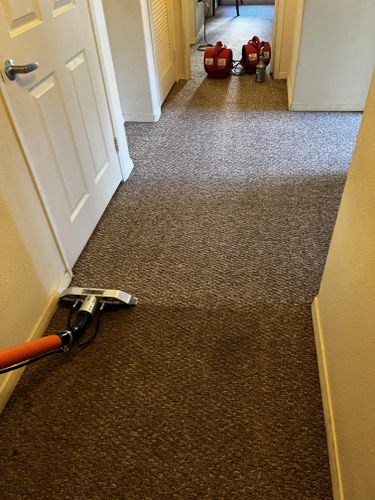 Carpet Cleaning for Lightning Carpet Cleaning in Visalia, CA