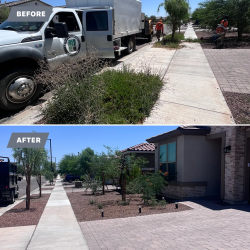  for AZ Tree & Hardscape Co in Surprise, AZ