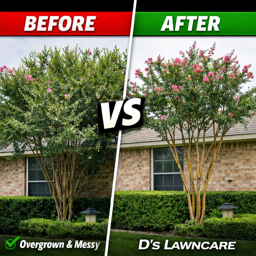  for D’s Lawncare in Killeen, TX