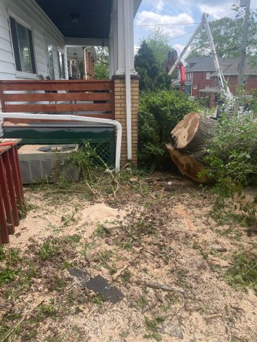 for TLC Professional Tree Service in Fort Worth, TX