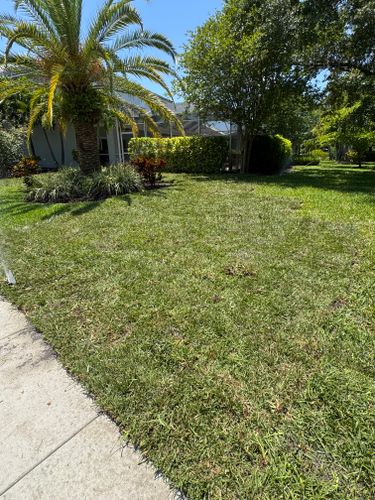 Sod installation for BH Lawn and Landscape in Fort Myers, FL