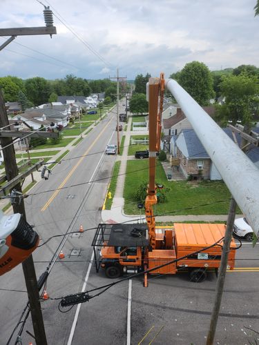 All Photos for Carpenter's Tree Service in Aurora, IN