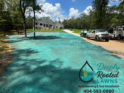  for Deeply Rooted Lawn Installations - Sod Installation & Hydroseeding Services in Winder, GA