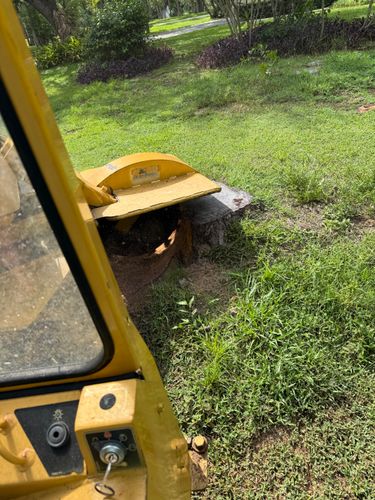  for Grizzly Stump Grinding in Sarasota, FL