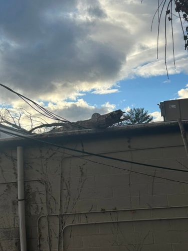 Emergency Tree Services for DC TREE in Vernon, CT