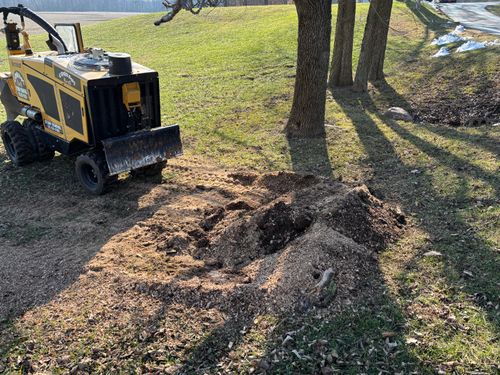 Stump Removal for Conrad's Stump Removal in Columbus, IN