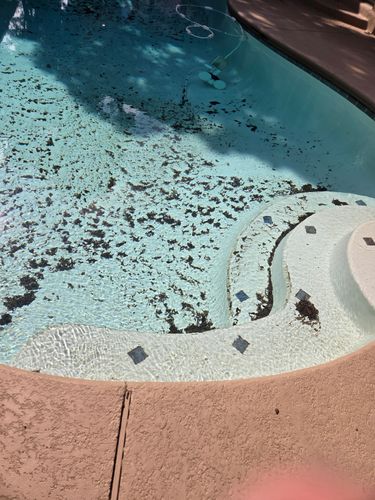 Pool Cleaning Services for J&A Pool and Spa Service LLC in Helotes, TX