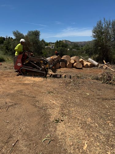 Tree Services for The Tree Fairy in Julian, CA