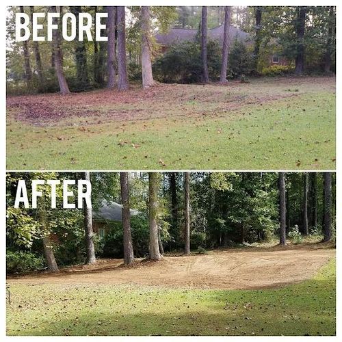 Stump Grinding & Removal for Fayette Property Solutions in Fayetteville, GA