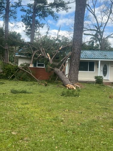 Immediate Response Tree work for storm damage for TREE BOYS in Ruskin, FL