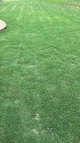  for C & C Lawn Care and Maintenance in New Braunfels, TX