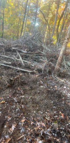  for McBee’s Tree Service in Sewanee, TN