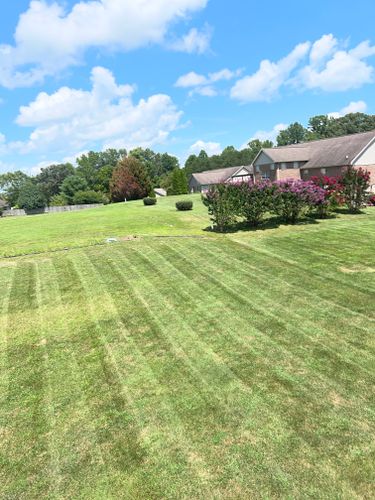 All Photos for The Yard Barbers in Somerset, KY