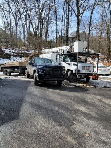 All Photos for AAA Tree Cutting in Shavertown, PA