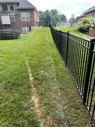  for Full Service Landscaping in Louisville, KY