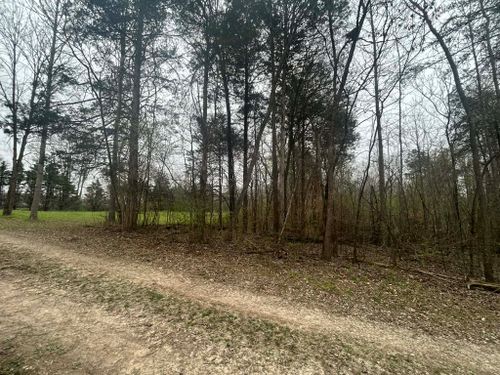  for Z's Land Management & Forestry Mulching in Smithville, TN