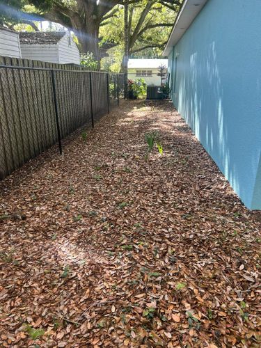 All Photos for Estrada All Pro Lawn Service in Auburndale, Florida