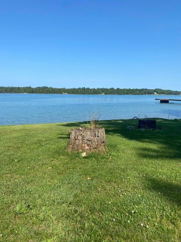 Tree Removal for Bear Creek Tree Service LLC in Rudyard, MI