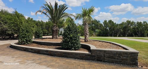 Tree Installation for Martin's Masonry & Landscaping in Leander, TX