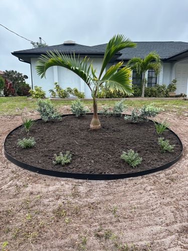 Landscape Design for MX Trees LLC in Englewood, FL