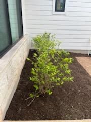 Tree & Shrub Care for Oviedo Land & Garden in Bastrop, TX
