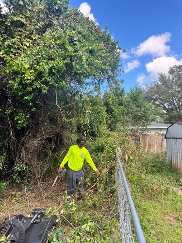  for Broadway Tree Care in Inverness, FL