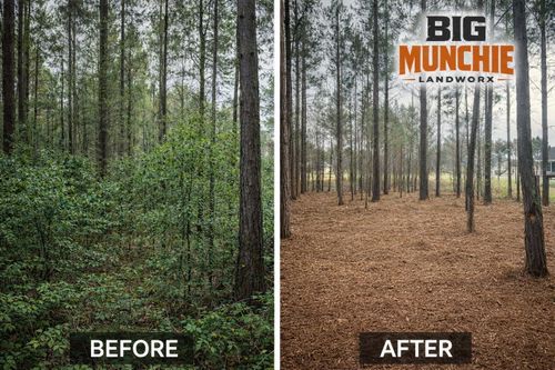 Forestry Mulching for Big Munchie Landworx in Jackson, MS
