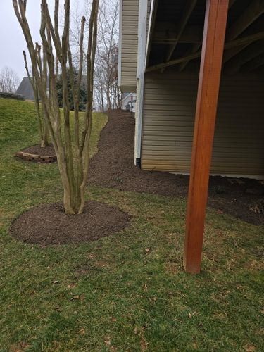 Landscaping for W D Giampa Lawns and Landscape Inc. in Manassas, VA
