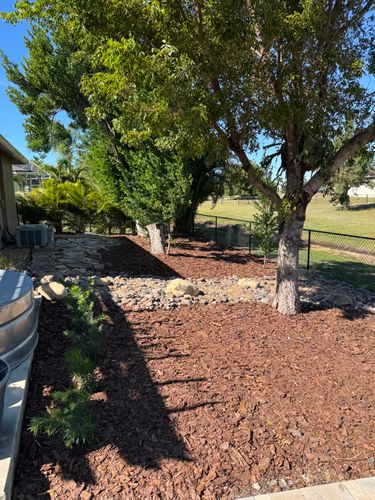 Landscaping for Rize N’ Grind  in Punta Gorda, FL