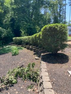 Tree Removal for Mr Greens Landscaping in Chesterfield, VA