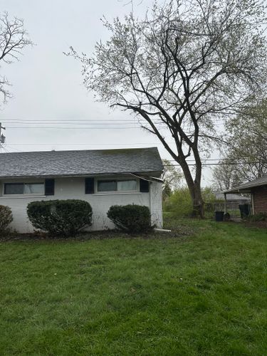 All Photos for Pro Tree Trim & Removal, Llc in Dayton, OH