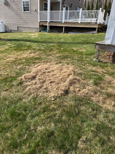 All Photos for MB Landscaping & Property Services in Barkhamsted, CT