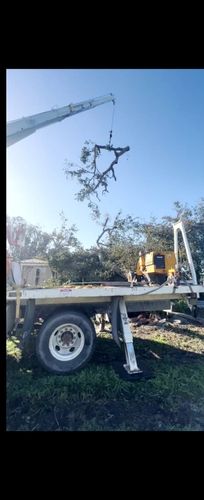 Immediate Response Tree work for storm damage for TREE BOYS in Ruskin, FL