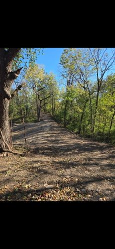 Land Clearing & Demolition for BDS Trucking & Excavating in Litchfield, IL