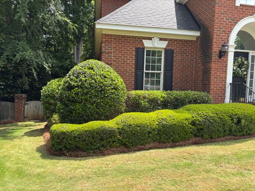 Shrub Trimming for Jonathan landscaping in Lexington, South Carolina