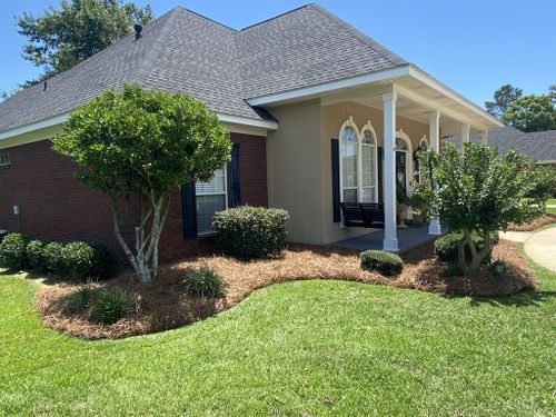 Shrub Trimming and Pruning for All-Star Lawn Care & Soft Washing in Mobile, AL