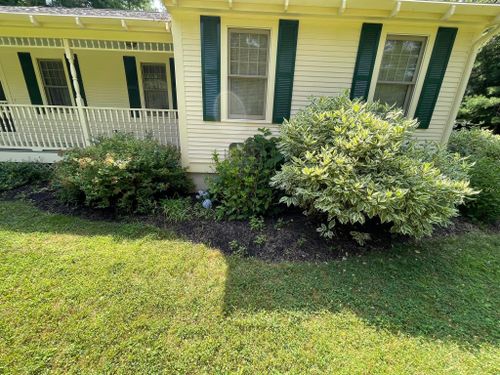 Bush / Tree Trimming for Rose Landscape & Design, Inc. in Abington, MA