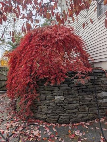  for Evolution Earthscapes, LLC in Ludlow, MA