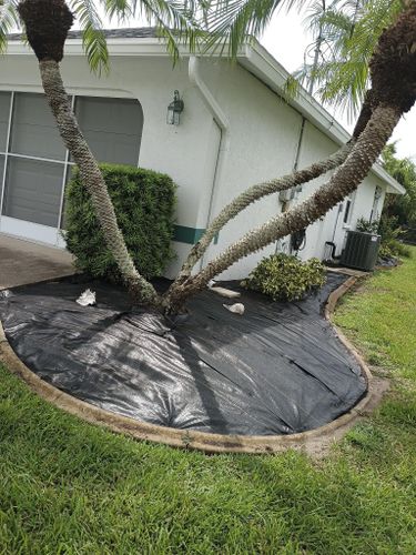 Flowerbed Installation and Maintenance for Unity Maintenance and More LLC in Englewood, FL