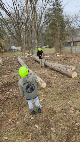  for D Hale Tree Service in Ann Arbor, MI