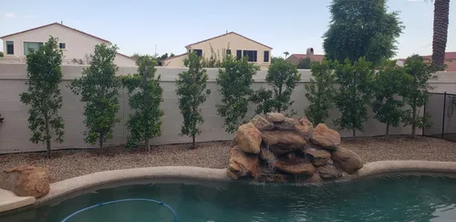 Irrigation and Drainage for Citiscapes, LLC in Phoenix, AZ