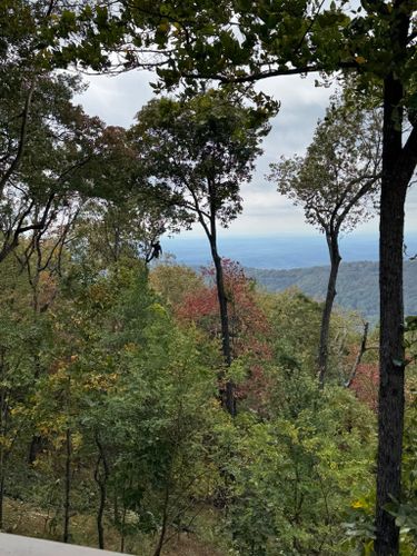 All Photos for Pinedown LLC in Cherokee County, GA