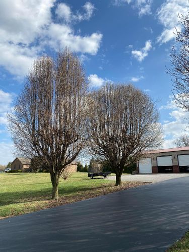 Tree Removal for Atwood’s Tree Care in Liberty,  KY