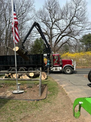 Tree Removal for DC TREE in Vernon, CT
