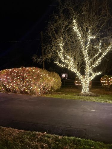  for Unique Outdoor Lighting in Short Hills, NJ