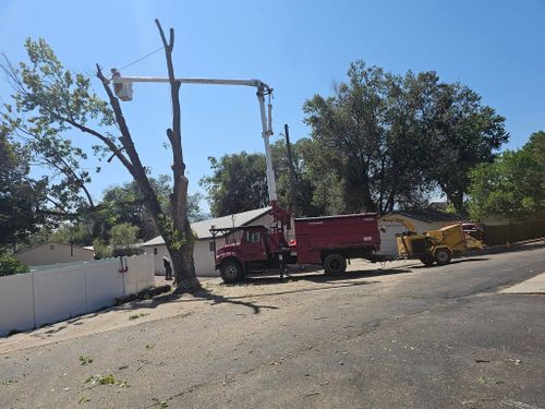 Fall Clean Up for Langston Tree & Landscape in Canon City, CO