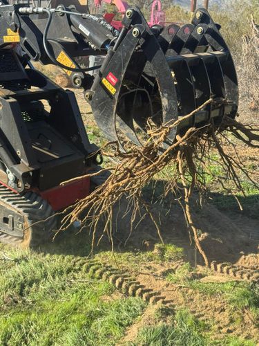 Tree Services for The Tree Fairy in Julian, CA